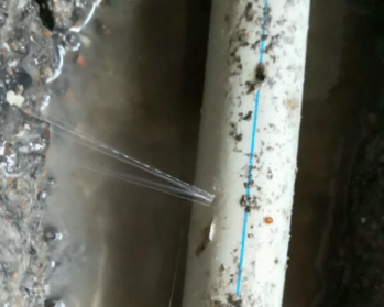 云浮卫生间测漏水多少钱